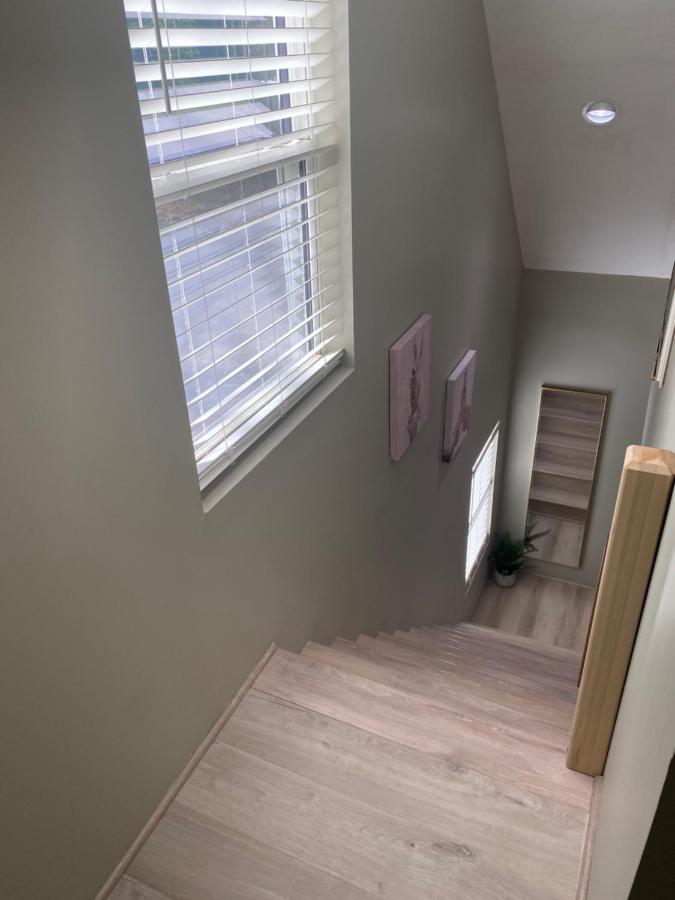 Modern Home &Cozy لايك بلاسيد المظهر الخارجي الصورة